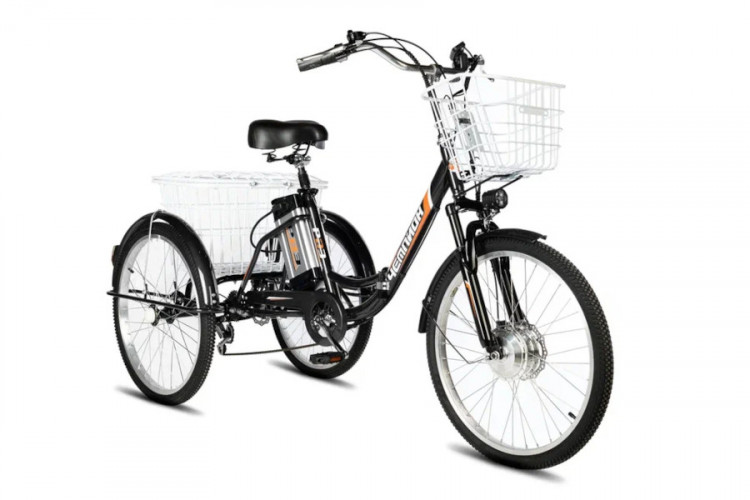 Электровелосипед РВЗ Чемпион 24 складной в Сочи