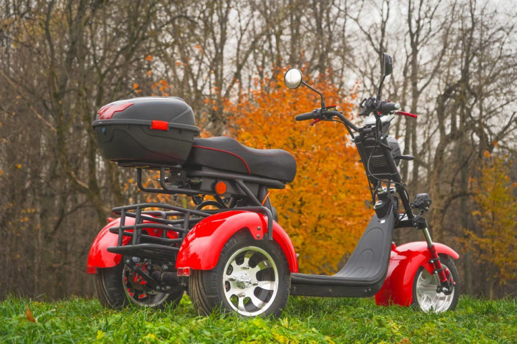 Электроскутер White Siberia PRO TRIKE 3000W в Сочи