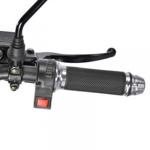 Электроскутер White Siberia TRIKE MINI 1500W в Сочи