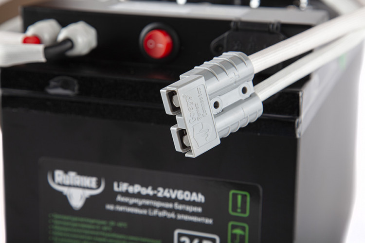 Тяговый железо-фосфатный аккумулятор RuTrike LiFePO4 60V48Ah (60А) в Сочи