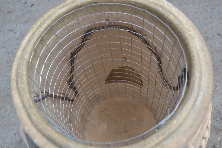 Тандыр Электрический Малый в Сочи