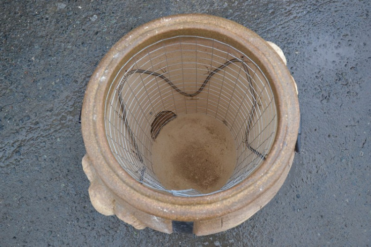 Тандыр Электрический Баран в Сочи