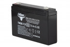 Тяговый гелевый аккумулятор RuTrike TNG 6-7.0 (6V7.0 A/H C20) в Сочи