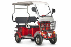 Пассажирский электротрицикл Rutrike Gelbert Hara в Сочи