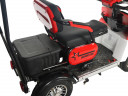 Пассажирский электротрицикл Rutrike Gelbert Lich в Сочи