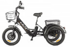 Электрофэтбайк Eltreco Green City e-ALFA Trike в Сочи