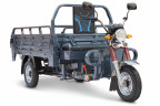 Грузовая электрическая тележка Rutrike Титан 2000 Гидравлика в Сочи