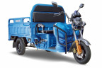Грузовой электрический трицикл RuTrike Дукат 1500 в Сочи