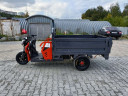Грузовой электрический трицикл Pаntеrа Гидрaвлика 75V1500W в Сочи